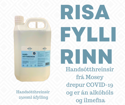 Handsótthreinsir