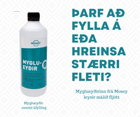 Myglueyðir 500ml með úða